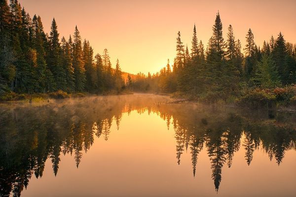 Canada-Ontario-Lake Superior Provincial Park Sunrise forest reflection in waterway